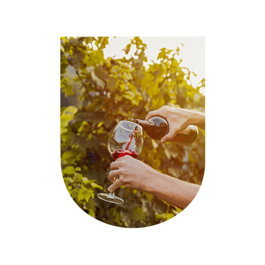 A glass of red wine in the vineyards